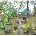 JdP2011 0013
